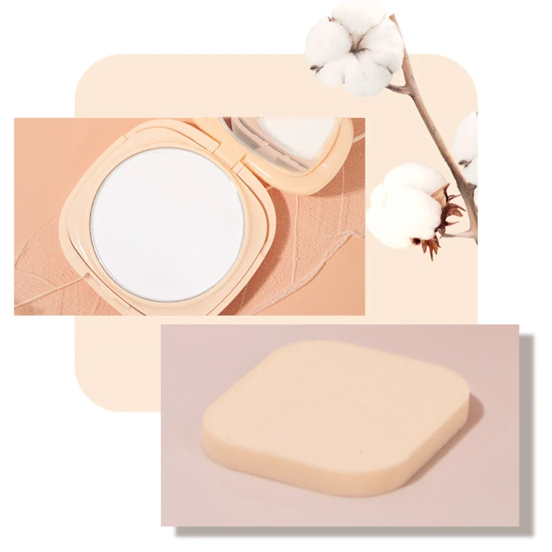 Romantic Bird Luxury 3 Colors Baking Powder Matte Compact pressed powder Setting Face Powder Waterproof Full Coverage Foundation