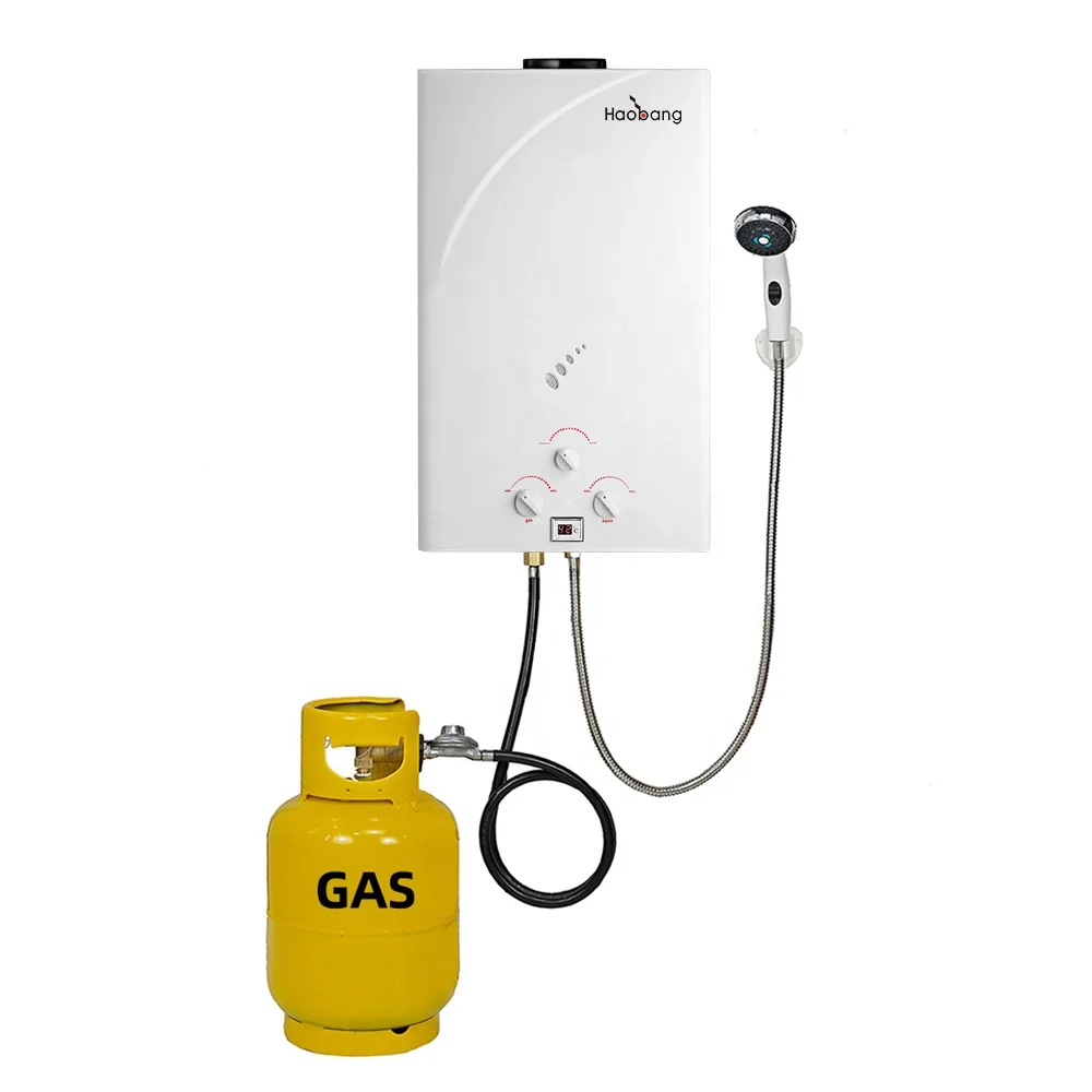 Hot Selling Nice Price Home Shower Instant Tankless Gas Fired Water Heater 10 Liter