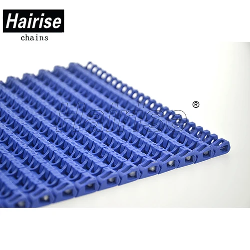 Manufacturer/producer of Hairise 1100 Series Plastic Flat Top Belt for Conveyor for Sale distributor wholesale price