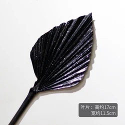 BX-2 Dried Palm Leaf Boho Style Natural Spears Plant dry flowers party decorations Decor Palm Leaves