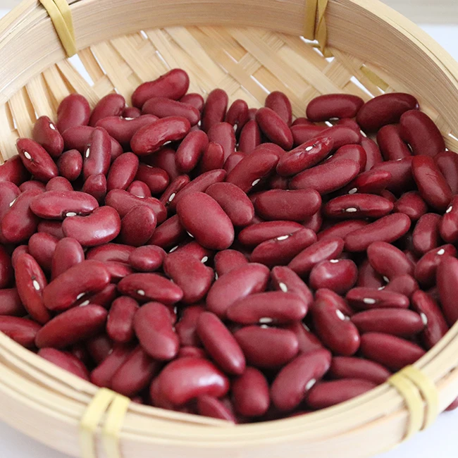 Hot Sell Borlotti Beans Good Tasted for Soup Organic Red Kidney Price With Dried Style