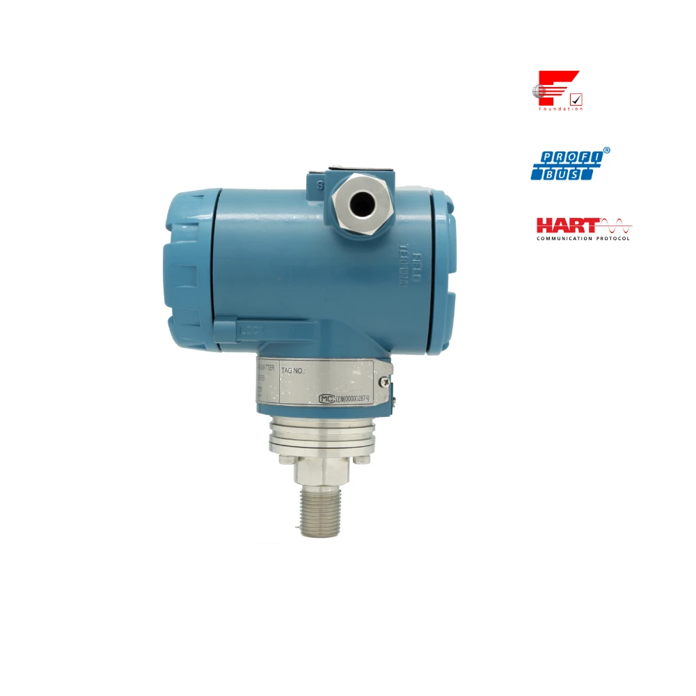 IP67 Explosion-proof FF Protocol Fieldbus Micro Differential Pressure Measuring Terminal