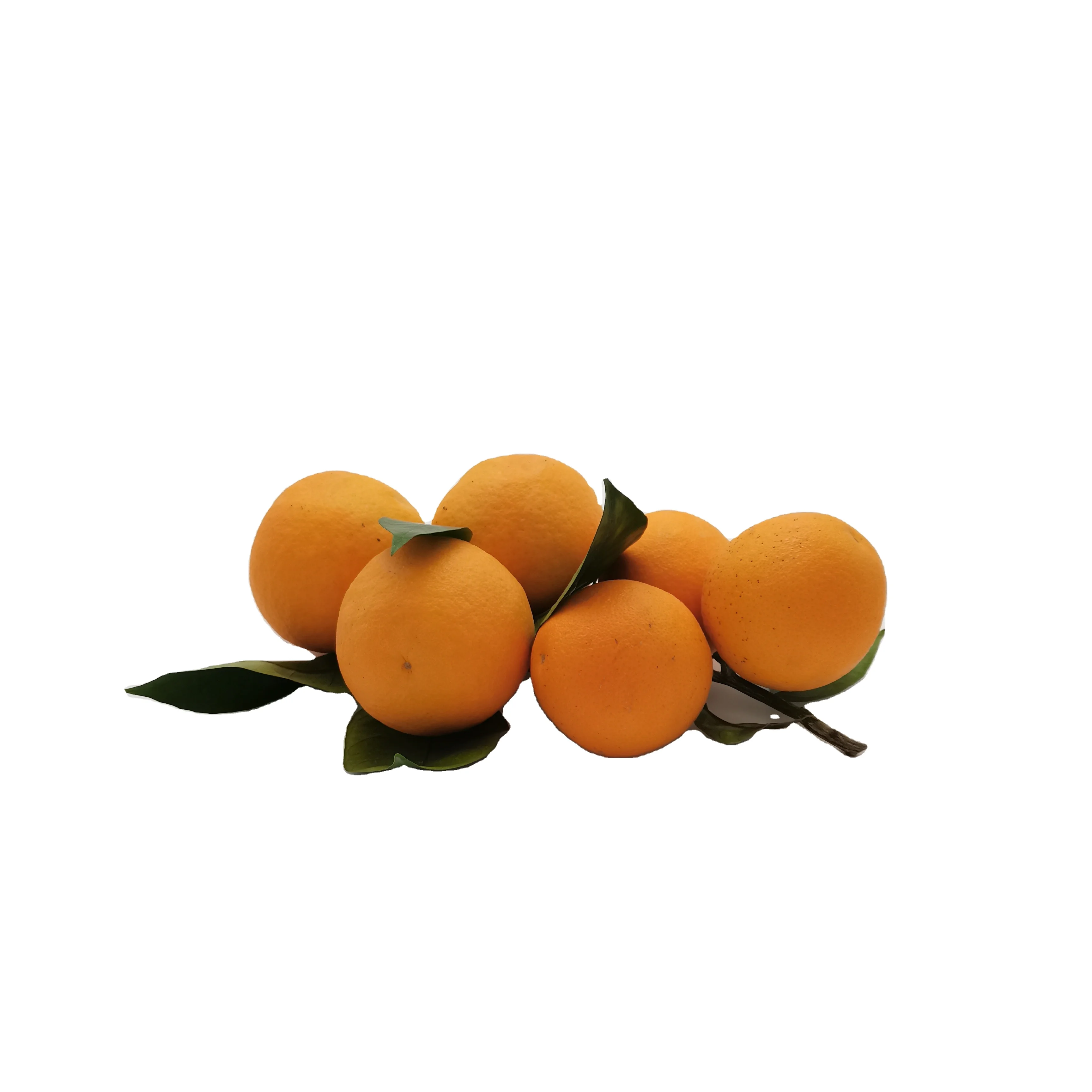 Fresh  Mandarin Orange /Export in Bulk /Fresh  Mandarin