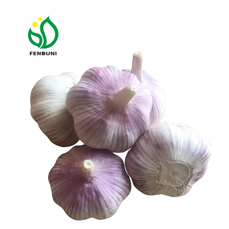 
2019 Chinese New Fresh White Garlic of 20kg mesh bag 