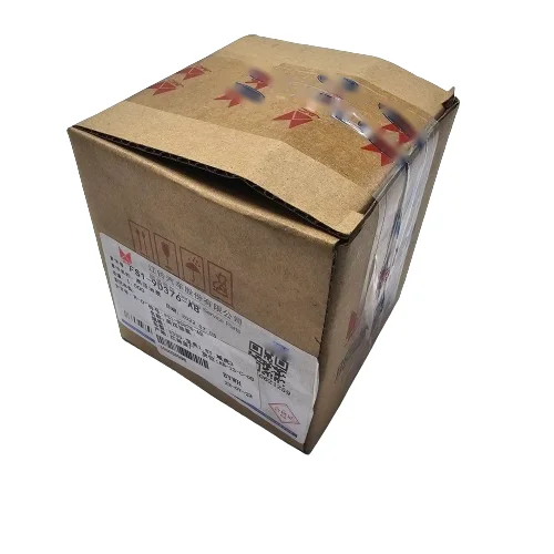 FS1-9D376-AB FS1 9D376 AB Original High Pressure Fuel Pump for Ford for JMC BaoDian 1.8T YuHu 3