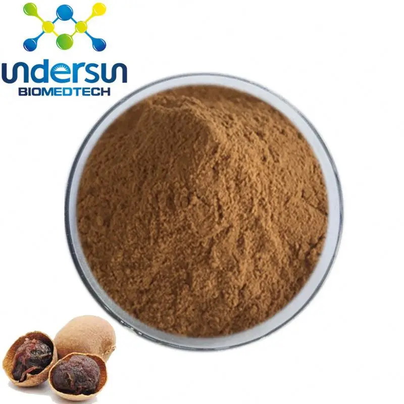 Undersun Supply Pure Longan Seed Extract Powder