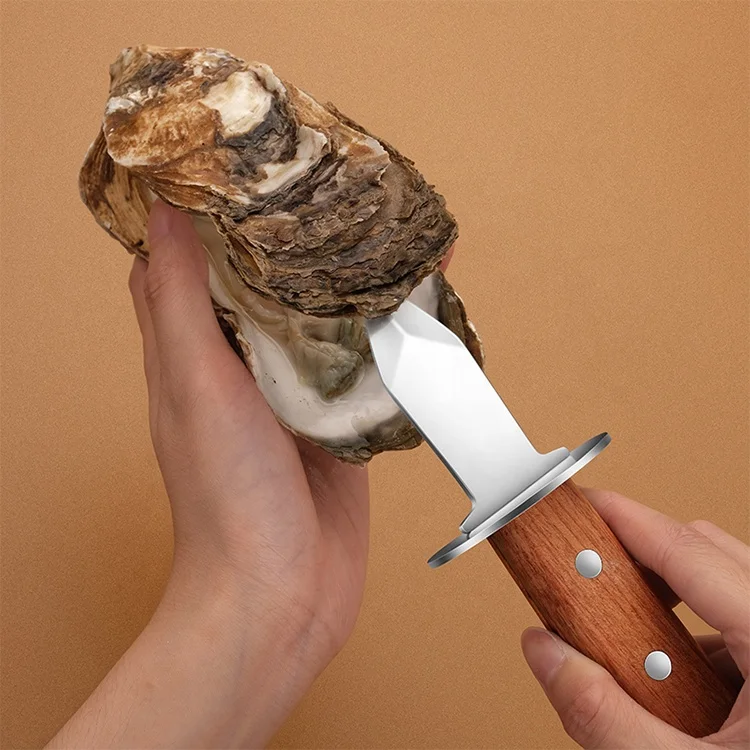 Wooden Handle Clam Shell Opener Tool Handmade Wazirabad Professional Shellfish Shucker Knife
