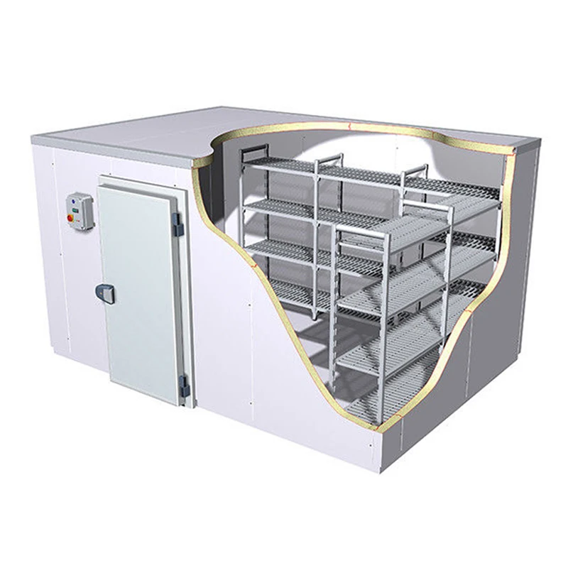Small Cooling System Controlled Atmosphere Cold Storage Coldroom solar powered cold room