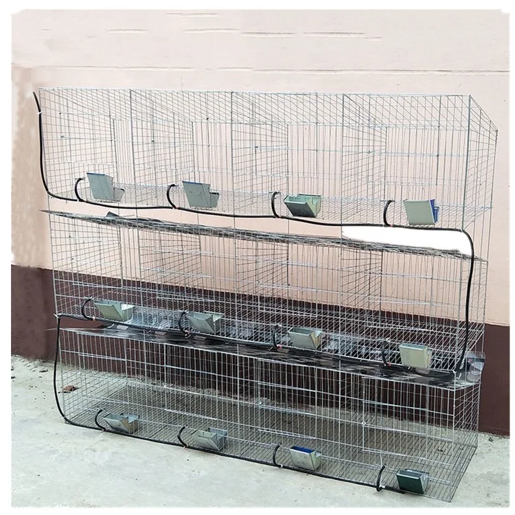 High Quality Galvanized Welded Commercial Rabbit Cage Breeding Wire Mesh