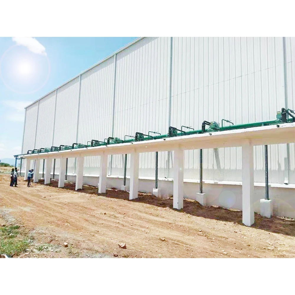 frozen storage compressor cold room mushroom growing room walk in cooler