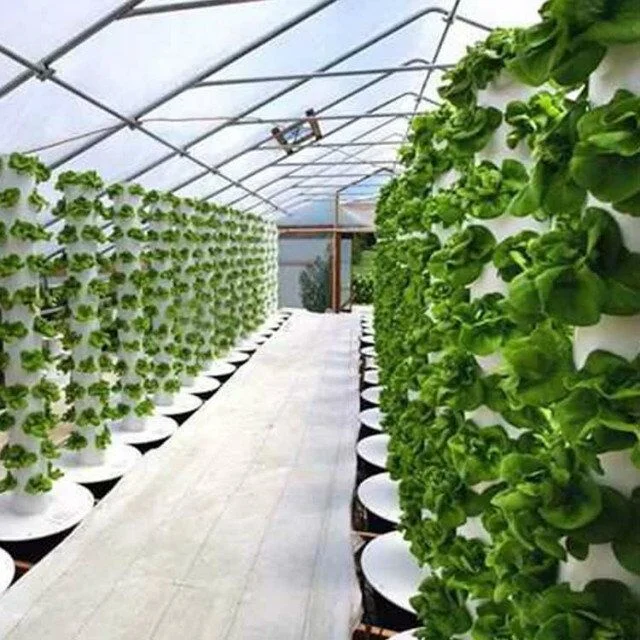 Dubai hydroponics irrigation tower project new agricultural greenhouse vertical tower farming for greenhouse planting