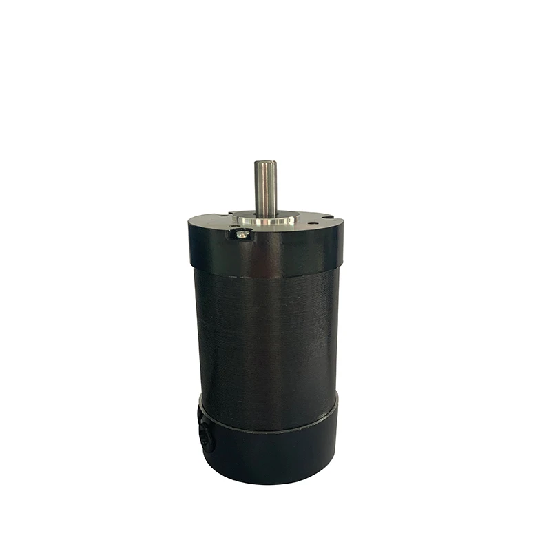 Bldc Motor With Worm Gearbox High Torque 24V 36V 48V Dc Motor Brushless Worm Gear Motor