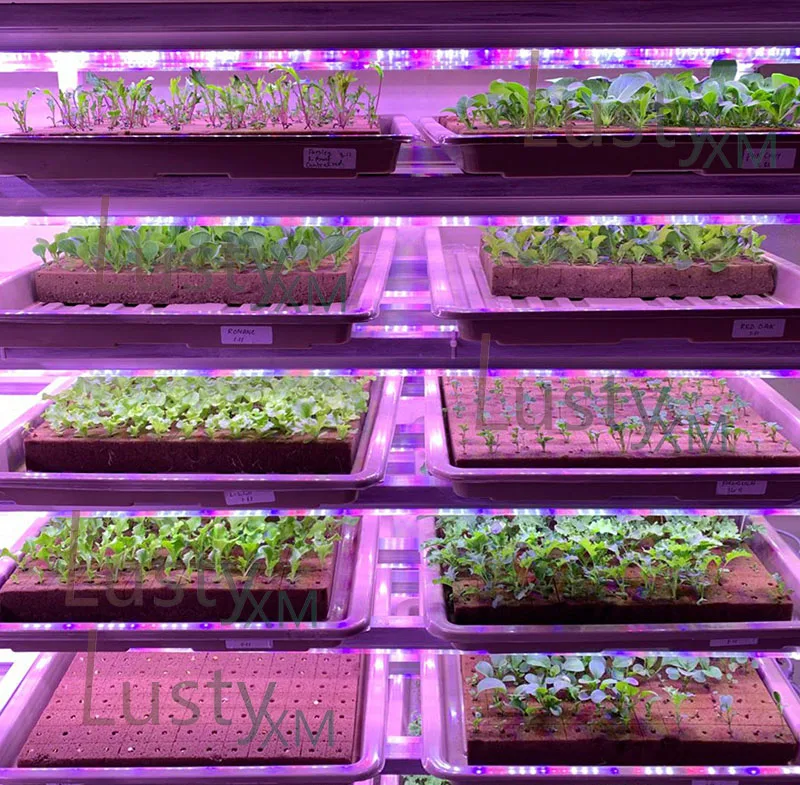 growing foam practice.jpg