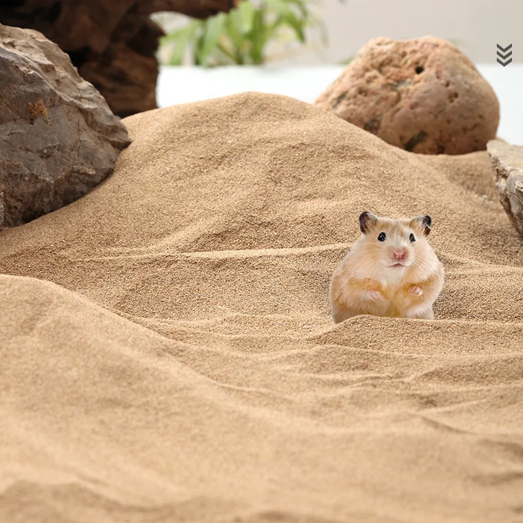 Manufacturer Wholesale Desert Sand  For Small Animals No-dust Bath