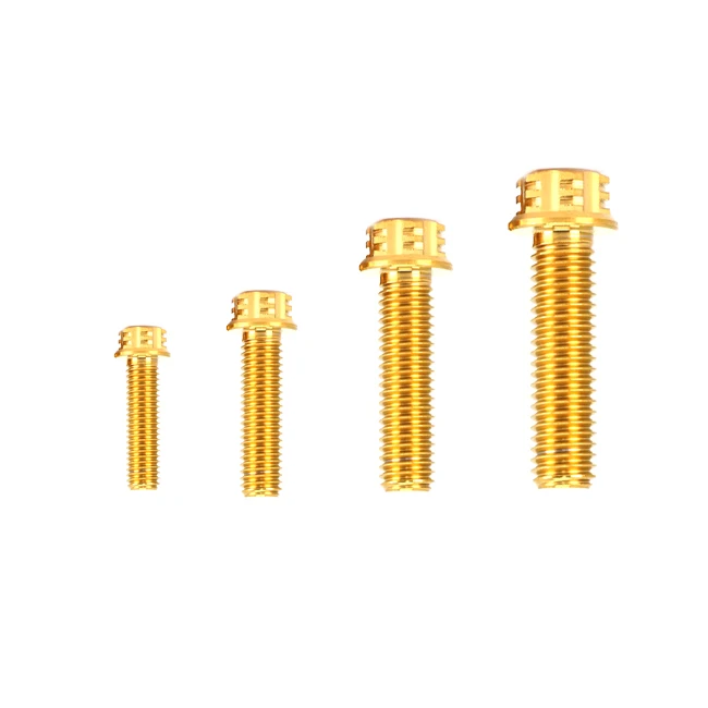 Hot Sales Motorcycle Titanium Disc Brake Bolts Flange Hex Head bolts Torx Head Flange Screw