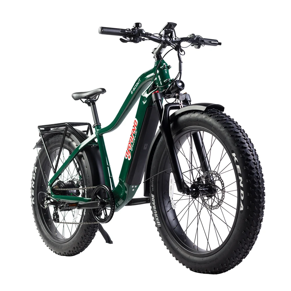 Original 750w Motor E Bike Shimano 10 Speed Electric Bicycle Fat Tire Electr Bike Cruiser Ebike