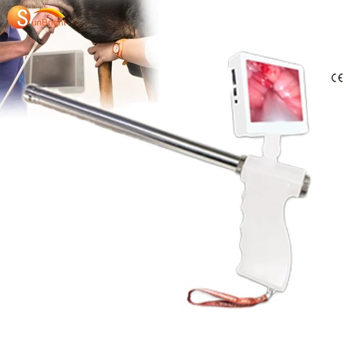 Good quality medical easy carry Visual Artificial Insemination Gun For Cattle cow
