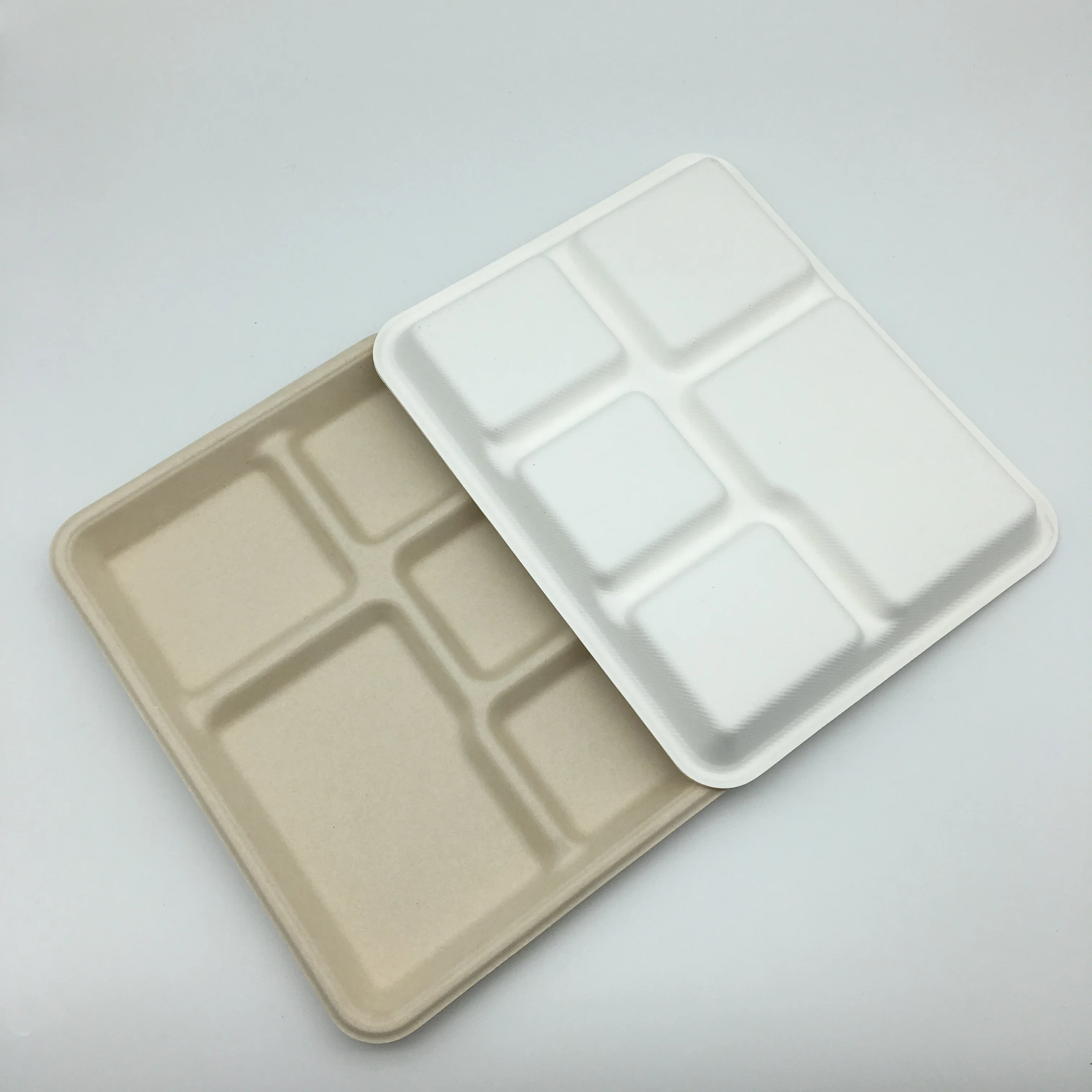Biodegradable Bagasse Tableware 5 Compartment Food Tray Dishes Plates School Food Container