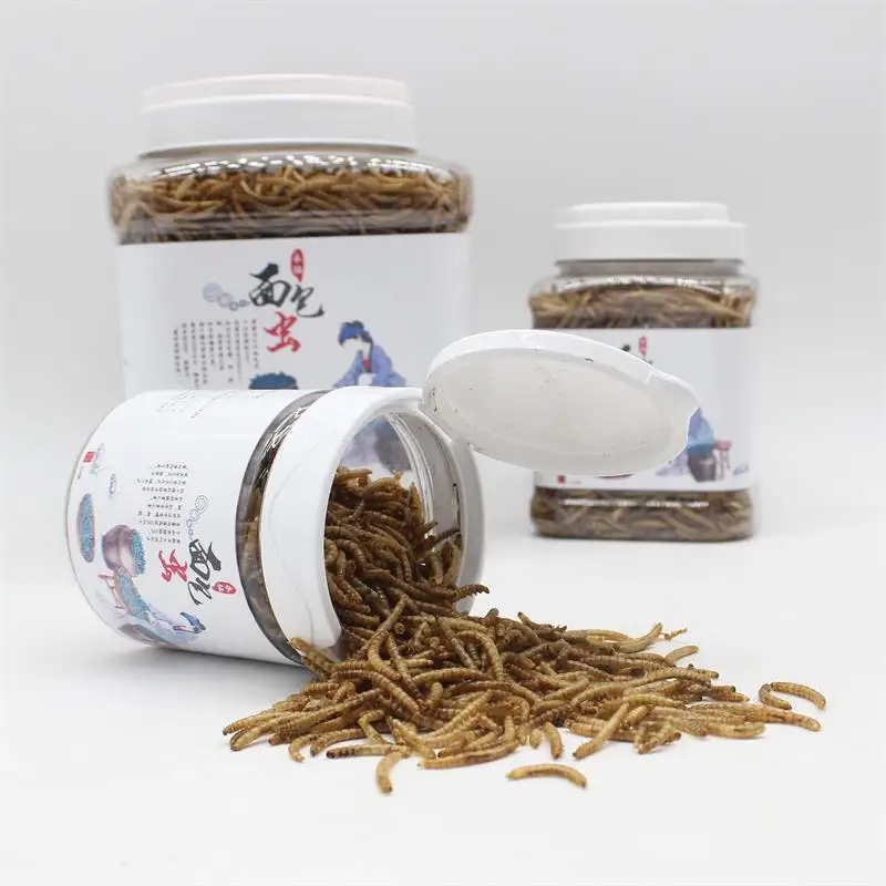 
Competitive Hedgehog Food Dried Mealworms for Goldfish Feed 