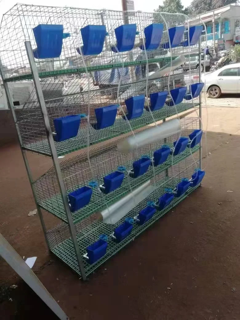 24 cell  H type hot dip galvanized wire mesh indoor rabbit cage layer automatic rabbit cage supplies