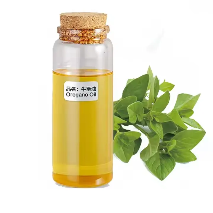 Wholesale OEM Premium Quality Carvacrol 90% Oregano Oil for Feed Citricol