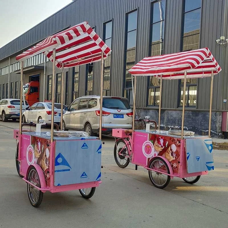 mexican street vendor trolley e rickshaw collapsible dosa bread dimsum donut fruit fried sushi food bicycle cart on wheels