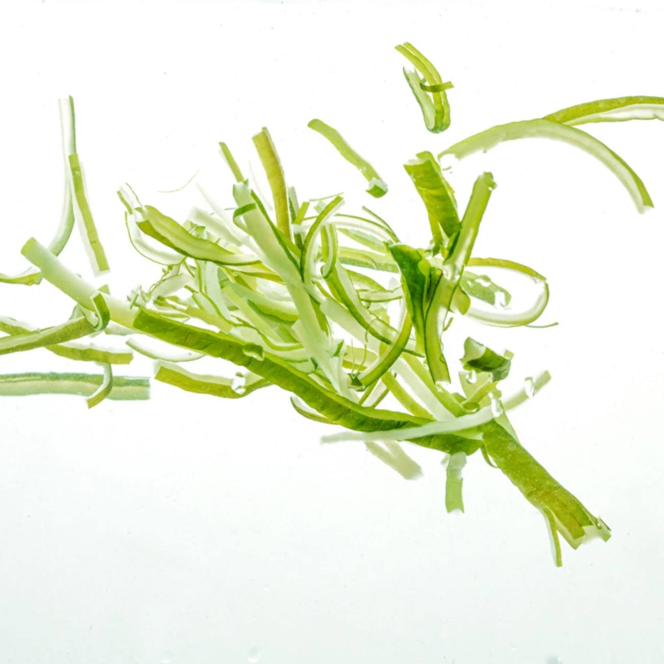 Exclusive export green delicious harmless dry wakame dried silk