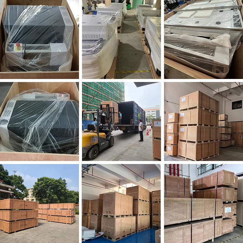 New Wide DTF Machine High-Speed 50% Energy Saving Multifunctional Large Format 300mm Print Dimension Multicolor Pigment Ink