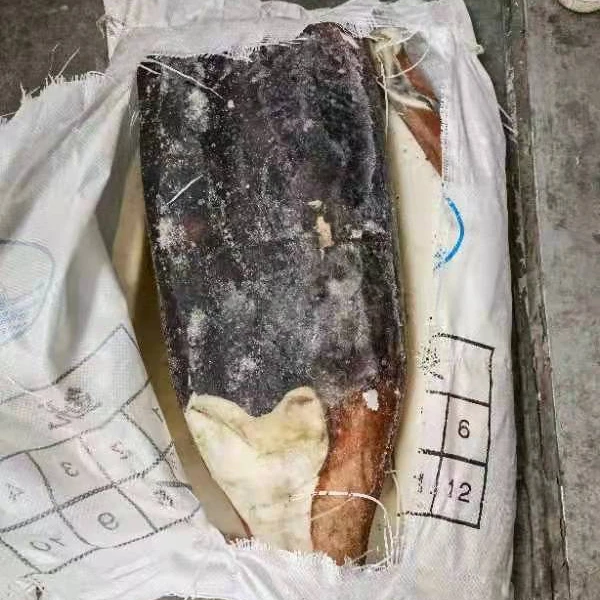 Frozen Giant Squid Fillet Skin