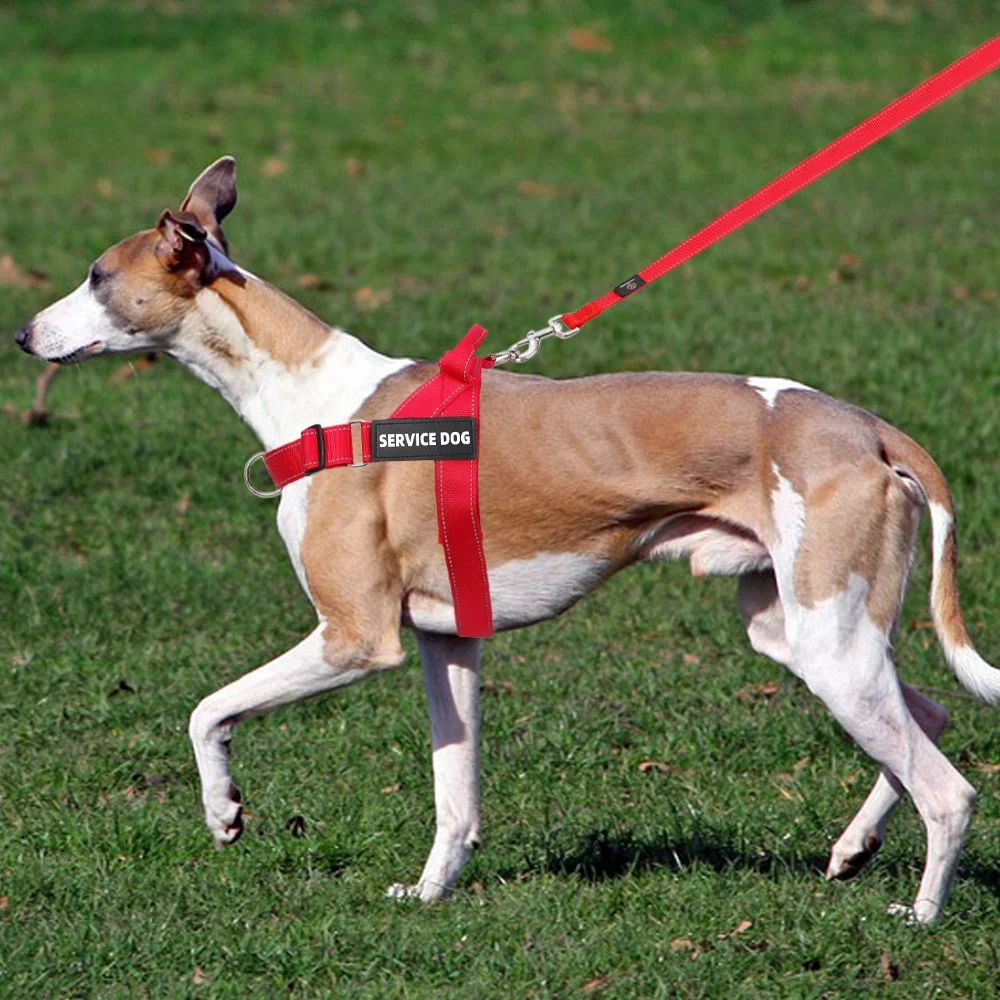 Soft Breathable Mesh Padded Dog Harness No Pull Dog Harness Front Clip Reflective Nylon Heavy Duty With Customized Patches