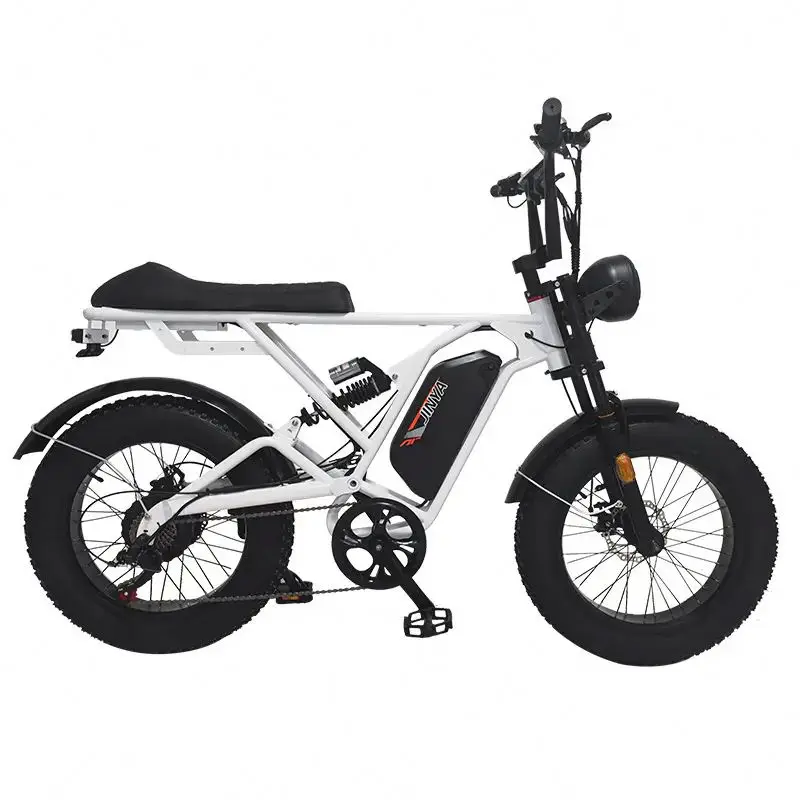 Best Seller Electric Bike Offroad 20inch Fat Tire Electric Bicycle All Terrain E-bike
