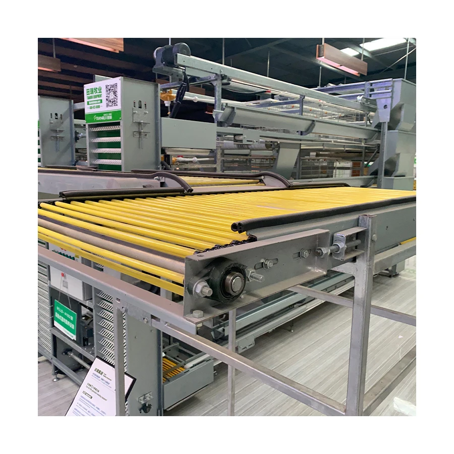 Автоматическая машина для сбора яиц курицы/птицефабрики автоматическая