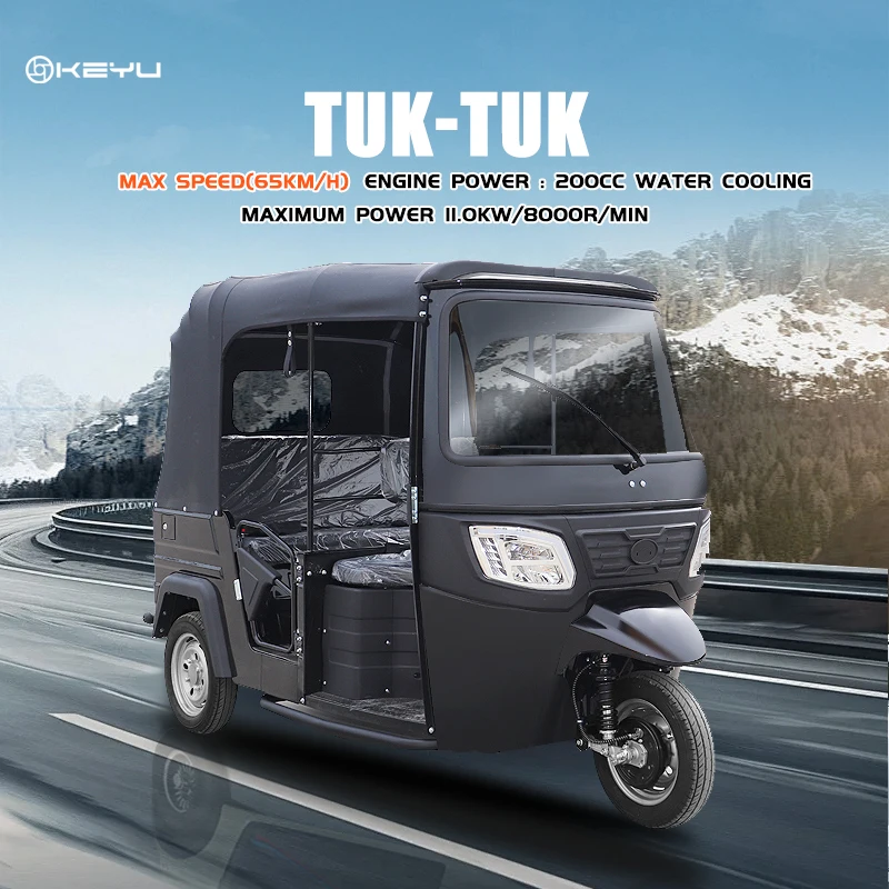 eec electric mini car home mini car 2 seat automobiles electric mini cars DUDU