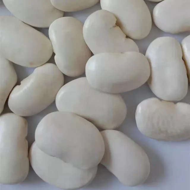 
factory large Yunnan 2020 crop dried white kidney beans 