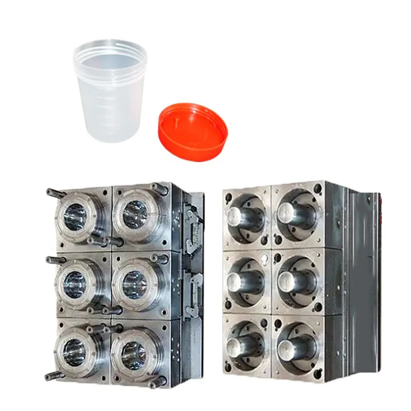 China preform mold make Custom multi cavity precision plastics injection mould manufacturer