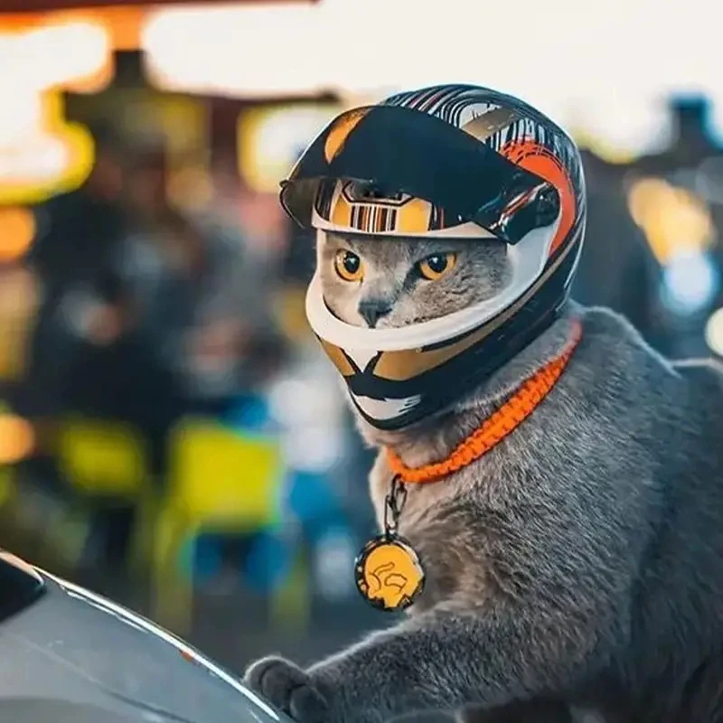 Personalized mini motorcycle helmet ABS cat headwear motorcycle helmet toy model for pets