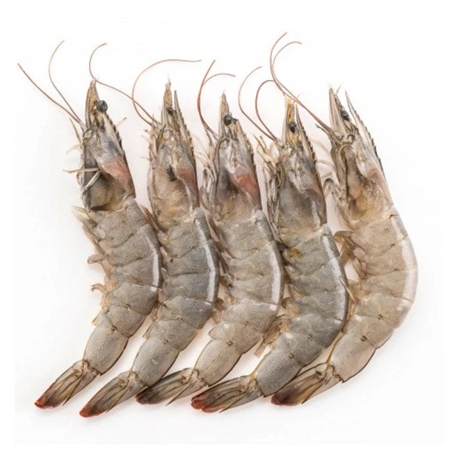 Vietnam High Quality Fresh Ocean Freeze Dry Seafood Wholesale Large Bulk Raw Shrimps Prawn Frozen Vannamei