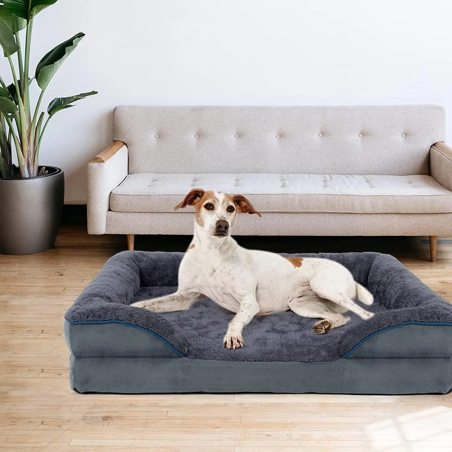 ZYZPET Dog Bed, Dog Beds for Small Dogs and Cats, Bolster Dog Sofa with Removable Washable Cover Egg Foam