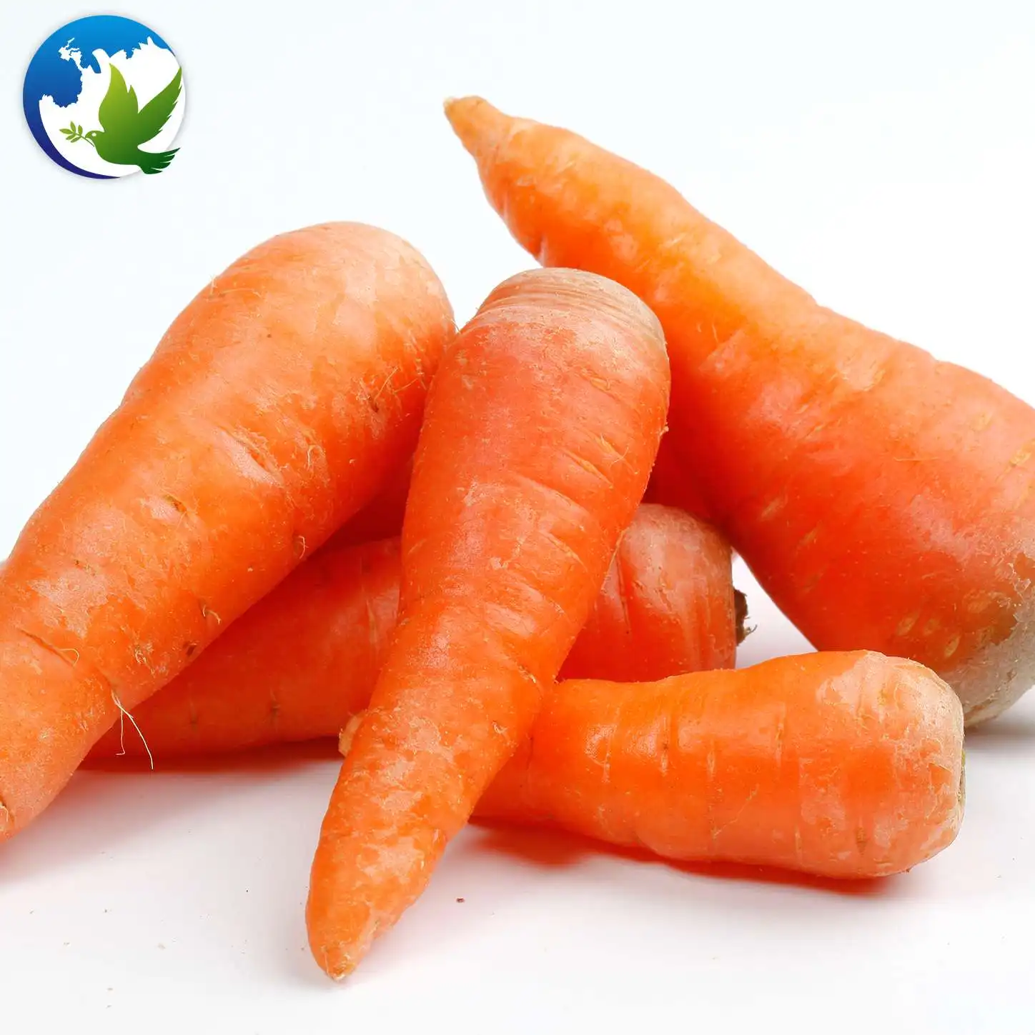 Chinese organic vegetable seeds f1 under 100 radish  carrot hybrid vegetable plant