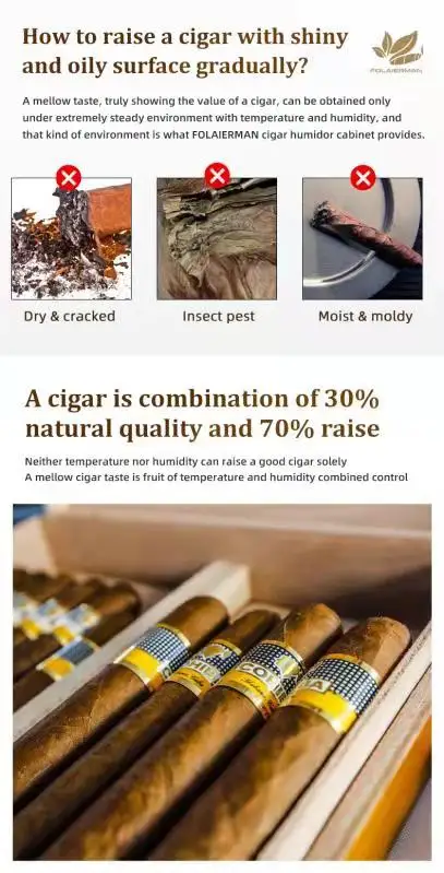 Custom 80L small cigar humidor display cigar cooler for home use