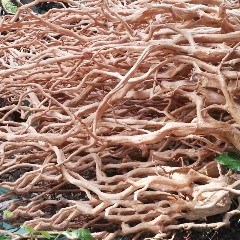 Aquascaping Премиум желтый корень рододендрона