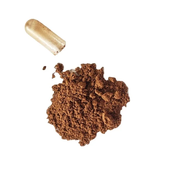 Reishi Capsule 100% Natural Plant Extract Polysaccharide Medicinal Fungi Ganoderma Lucidum Reishi Powder Herbal Extract