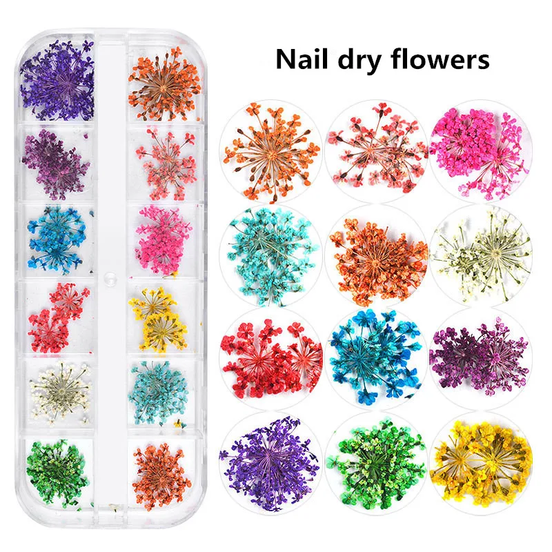
3D Real Dry Beauty Natural Plant Flowers Pressed Nail Art Decal Dry Flowers 