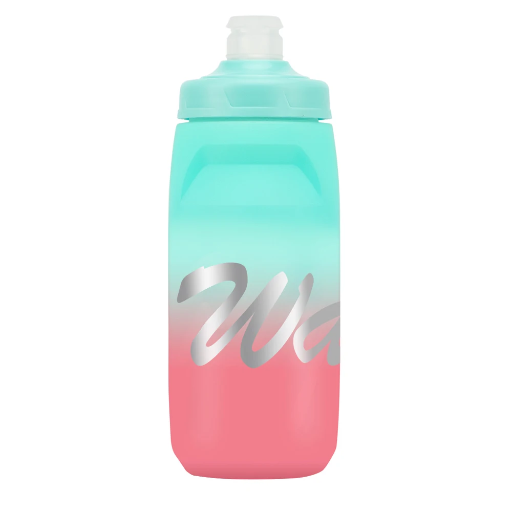 Certification Bpa Free Portable Drinking Water Bottle Push Pull Lid