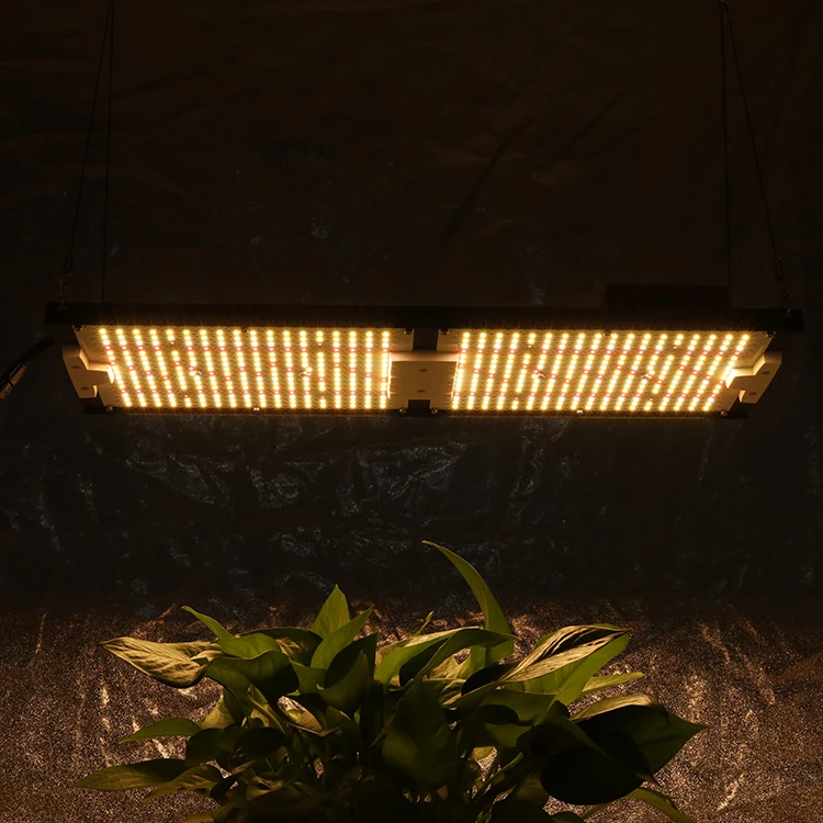 EU Stock, Free Tax !  KingBrite 240W Samusng LM301H EVO LED Grow Lights Full Spectrum with Meanwell Driver