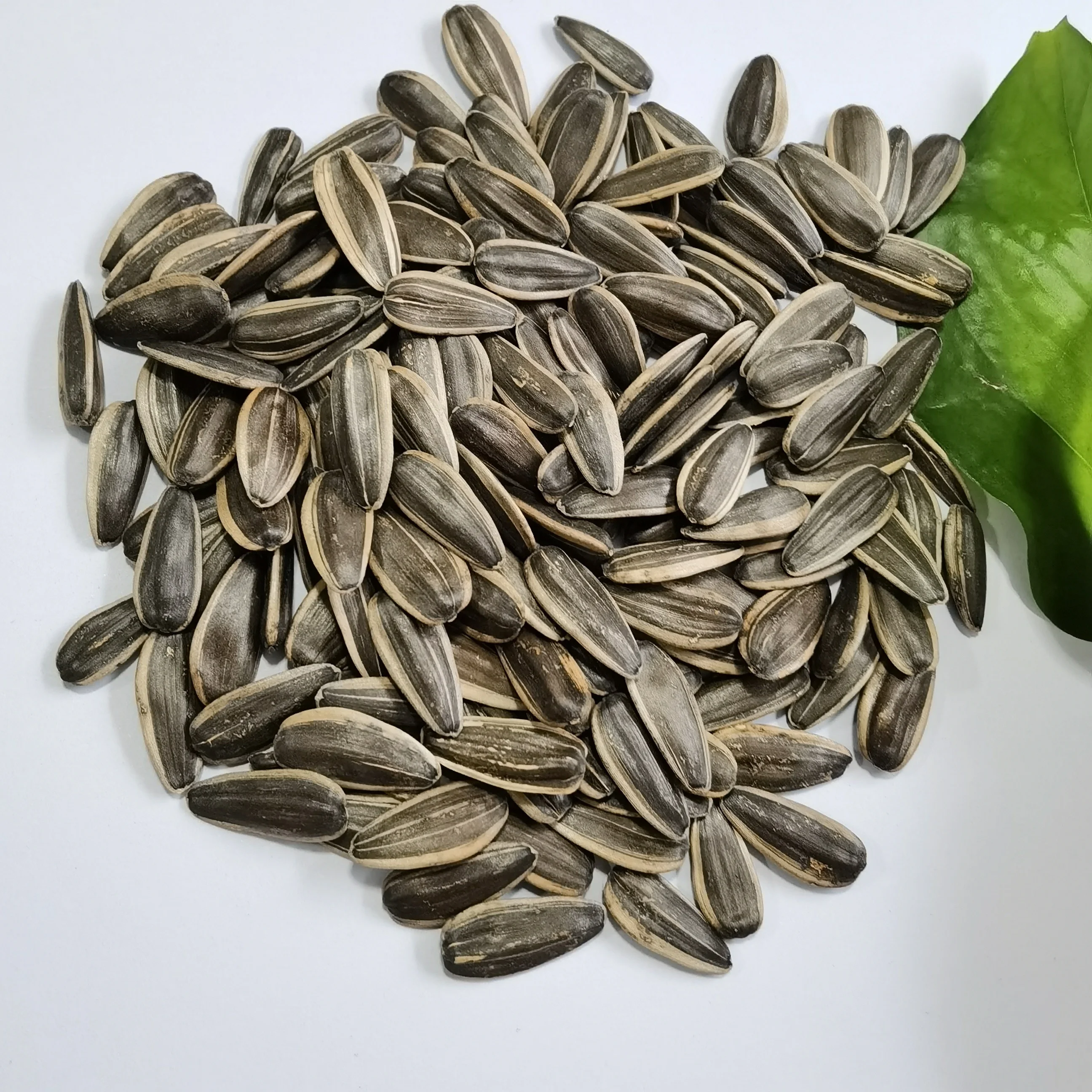 Factory direct high-quality black sunflower seeds raw sunflower seeds 361