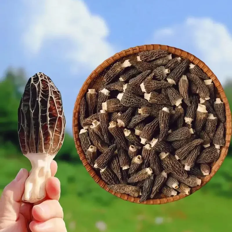 Huaran Yulin Guangxi China fungus mushroom wholesale Black Wild Morel Mushroom Dry Toadstool For Food