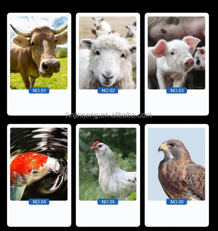 Feed Pellet Machine.png