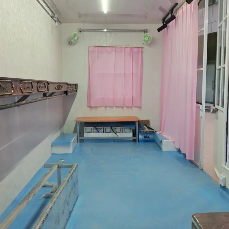 Custom multi-functional electric mobile four-wheel food truck dining car snack car for night market