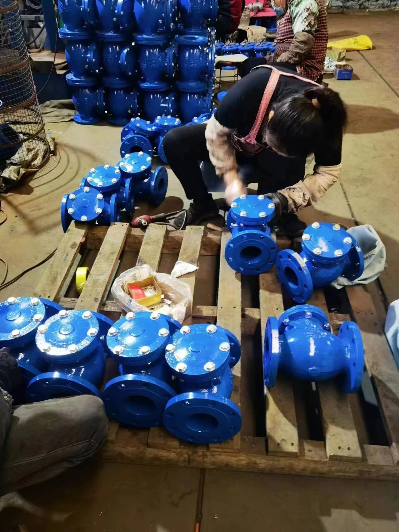 BS standard  DN150 GGG50 body good quality price list valved check swing check valve non return valve